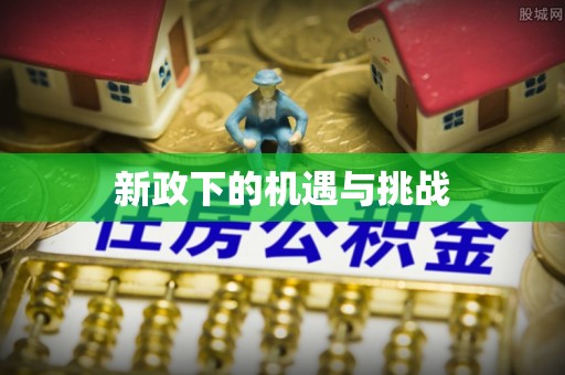 新野新政下的机遇与挑战