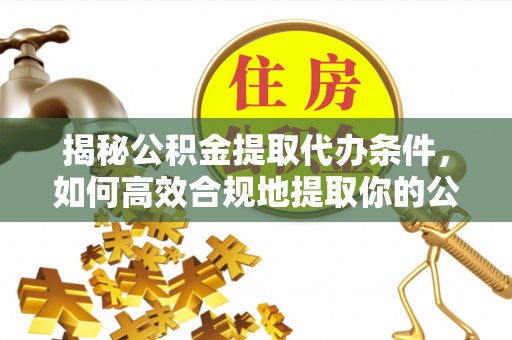 新野揭秘公积金提取代办条件，如何高效合规地提取你的公积金