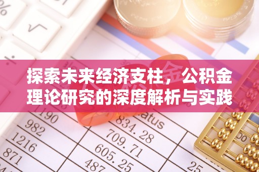 新野探索未来经济支柱，公积金理论研究的深度解析与实践意义