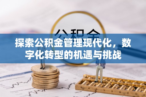 新野探索公积金管理现代化，数字化转型的机遇与挑战