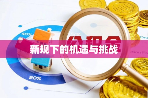 新野新规下的机遇与挑战