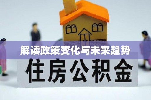 新野解读政策变化与未来趋势