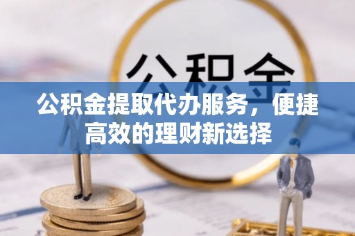 新野公积金提取代办服务，便捷高效的理财新选择