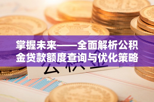 新野掌握未来——全面解析公积金贷款额度查询与优化策略