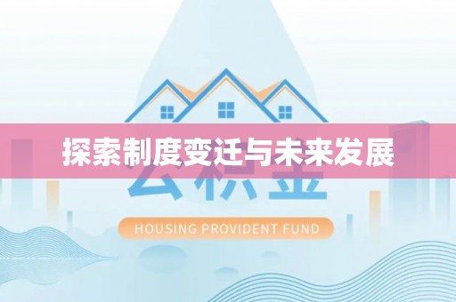 新野探索制度变迁与未来发展