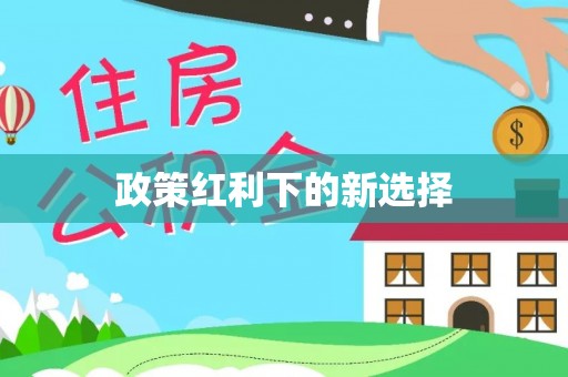 新野政策红利下的新选择