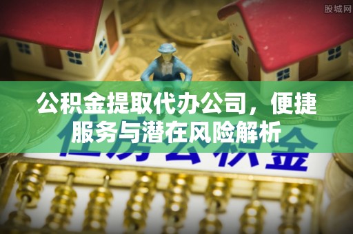新野公积金提取代办公司，便捷服务与潜在风险解析