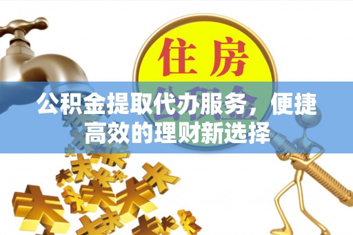 新野公积金提取代办服务，便捷高效的理财新选择