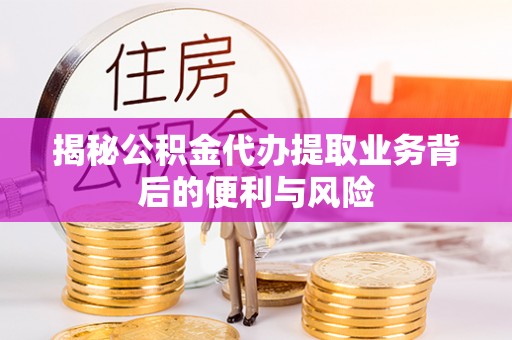 新野揭秘公积金代办提取业务背后的便利与风险