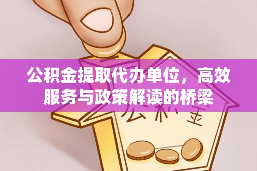 新野公积金提取代办单位，高效服务与政策解读的桥梁