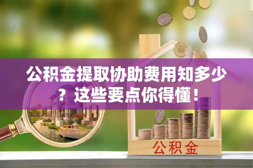 新野公积金提取协助费用知多少？这些要点你得懂！