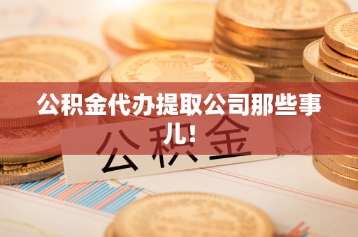 新野公积金代办提取公司那些事儿！