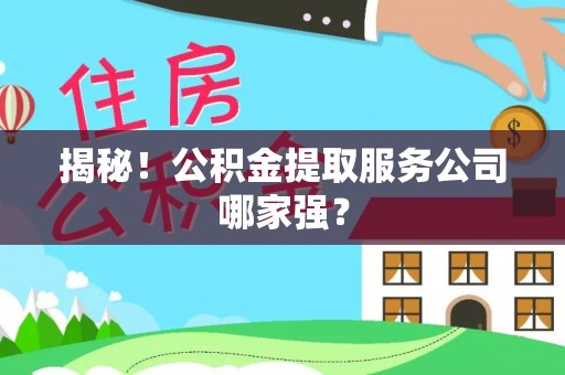 新野揭秘！公积金提取服务公司哪家强？