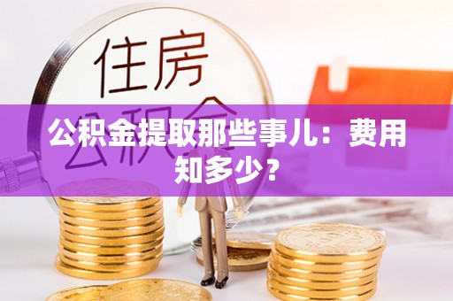 新野公积金提取那些事儿：费用知多少？