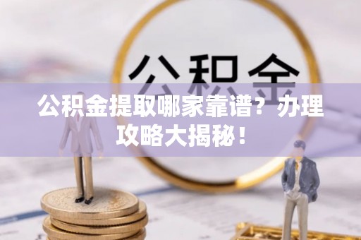 新野公积金提取哪家靠谱？办理攻略大揭秘！