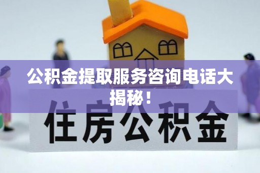 新野公积金提取服务咨询电话大揭秘！
