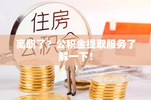 新野离职了？公积金提取服务了解一下！