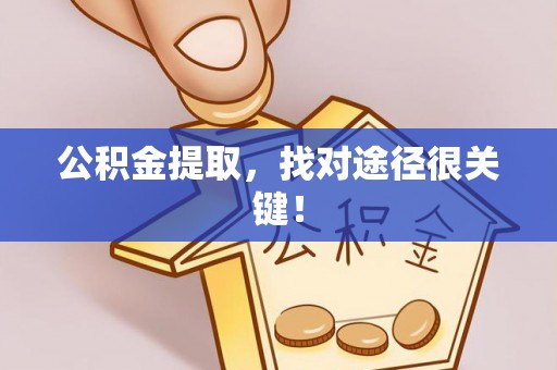 新野公积金提取，找对途径很关键！