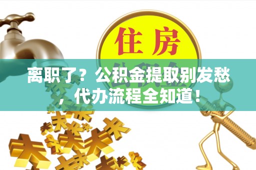 新野离职了？公积金提取别发愁，代办流程全知道！