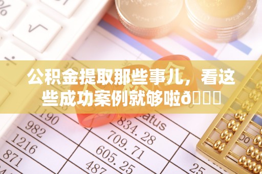 新野公积金提取那些事儿，看这些成功案例就够啦😎
