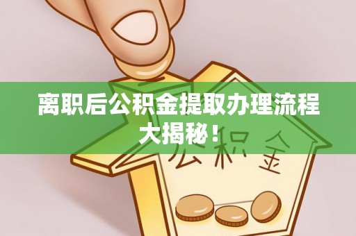 新野离职后公积金提取办理流程大揭秘！
