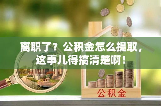新野离职了？公积金怎么提取，这事儿得搞清楚啊！