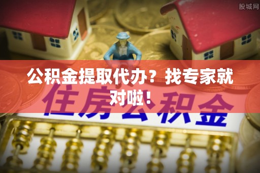 新野公积金提取代办？找专家就对啦！
