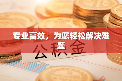 新野专业高效，为您轻松解决难题