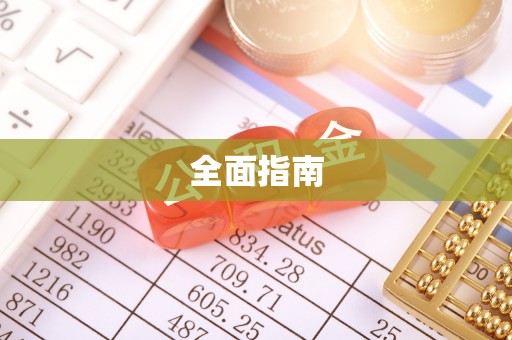 新野全面指南