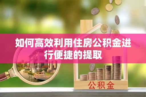 新野如何高效利用住房公积金进行便捷的提取