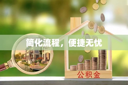 新野简化流程，便捷无忧