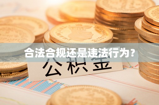 新野合法合规还是违法行为？