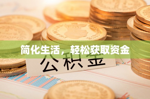 新野简化生活，轻松获取资金